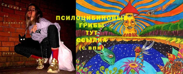ешки Армянск