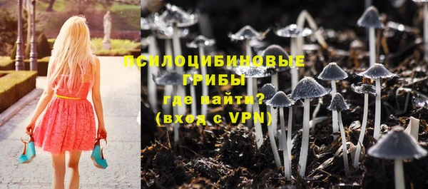 ешки Армянск