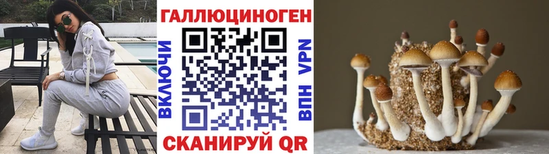наркота  Ленинск  Псилоцибиновые грибы Magic Shrooms 